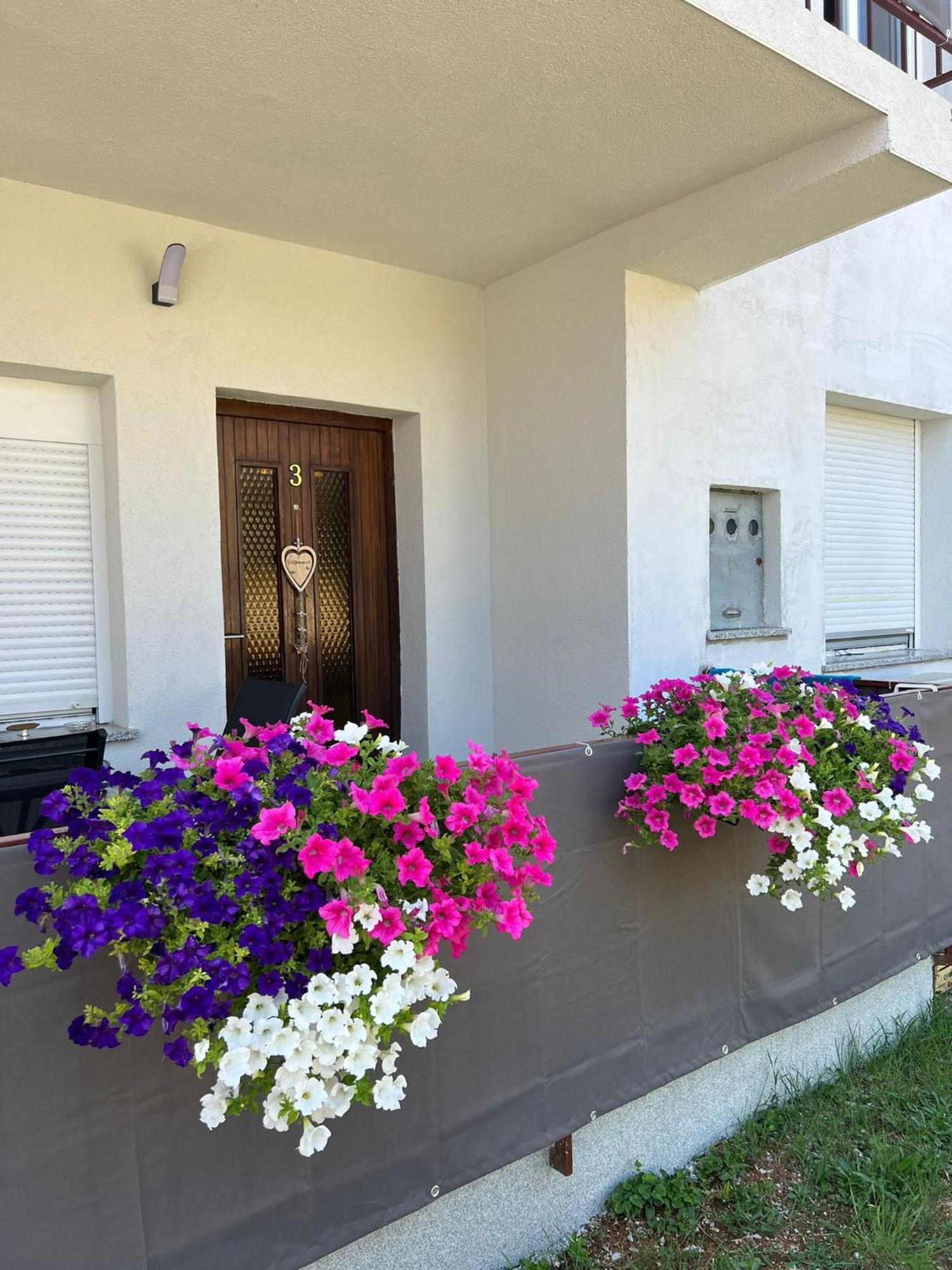 3Level Apartments Kroatien Umag Exterior foto
